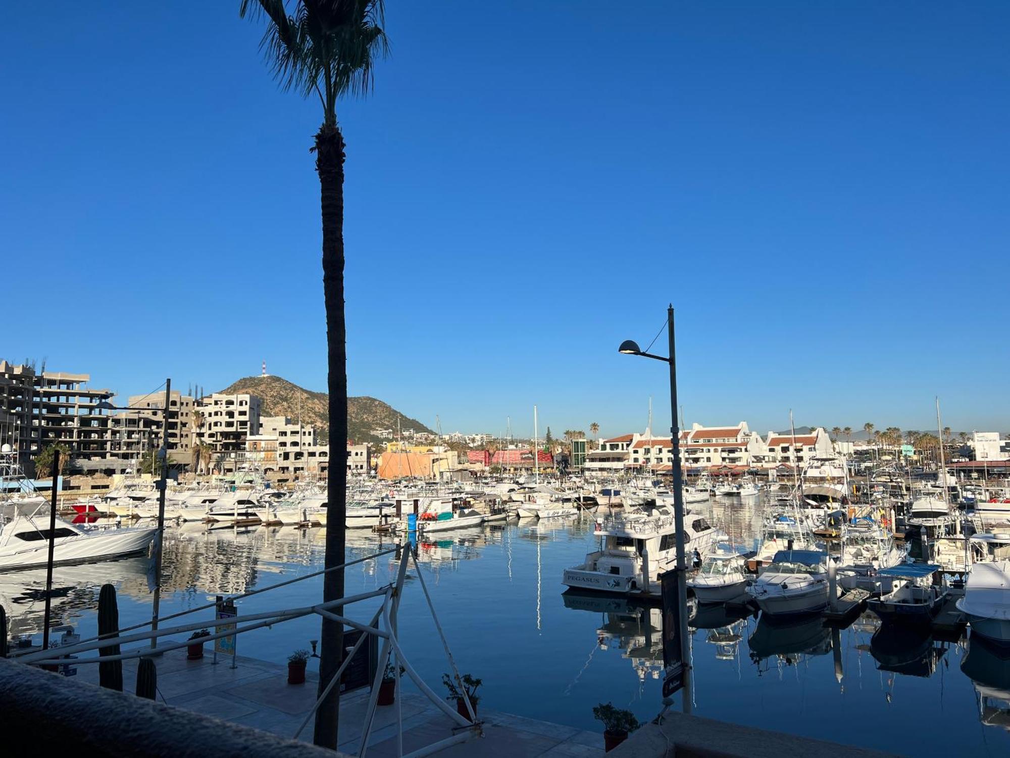 Cabowilson Cabo San Lucas Exterior foto